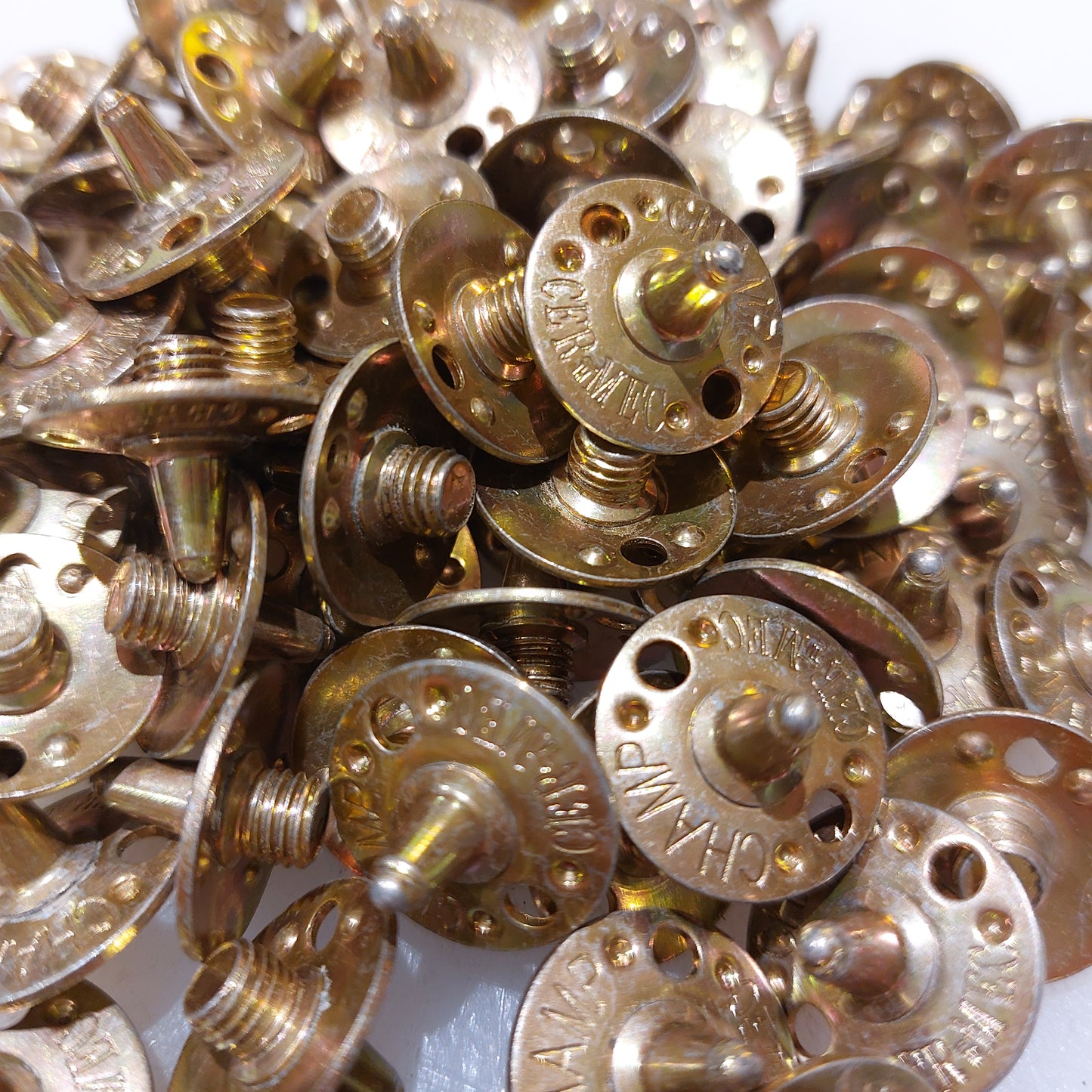 Champ Spikes